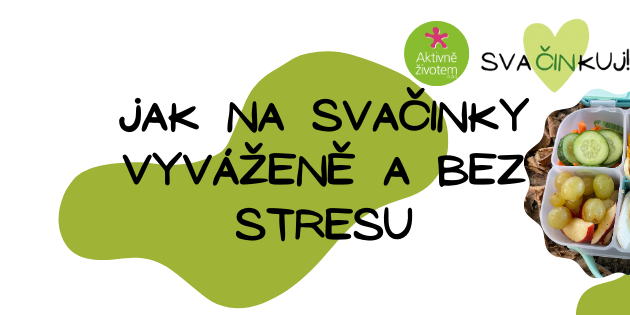 posledniWorkshop Svacinky – stories (Úvodní fotka na Facebooku) (1)